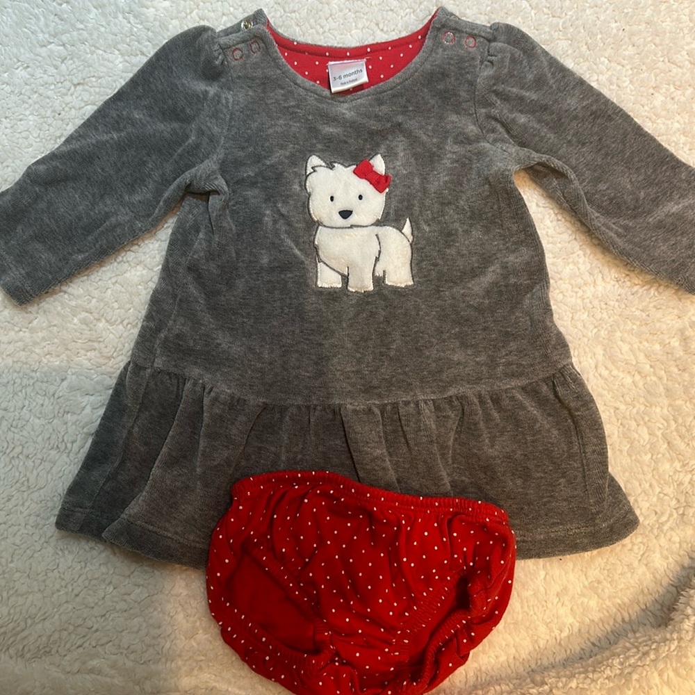 Gymboree cute white dog top and matching bloomers